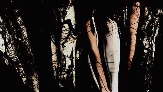 Judith Albert