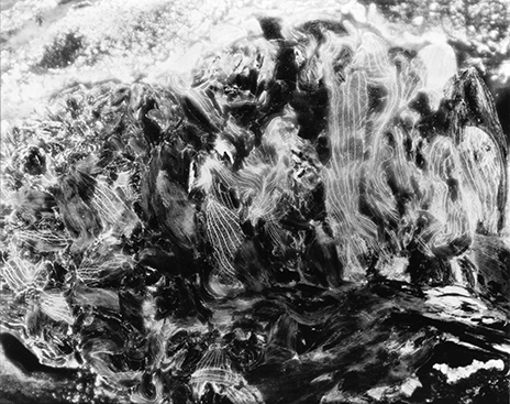 Lorenz Olivier Schmid, Anthologie Blütentraube Detail