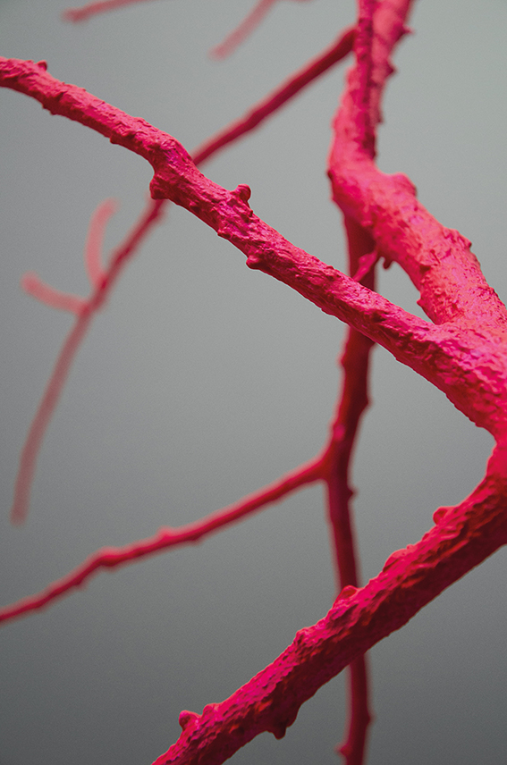 Nic Hösli, Installation (Detail), 2025