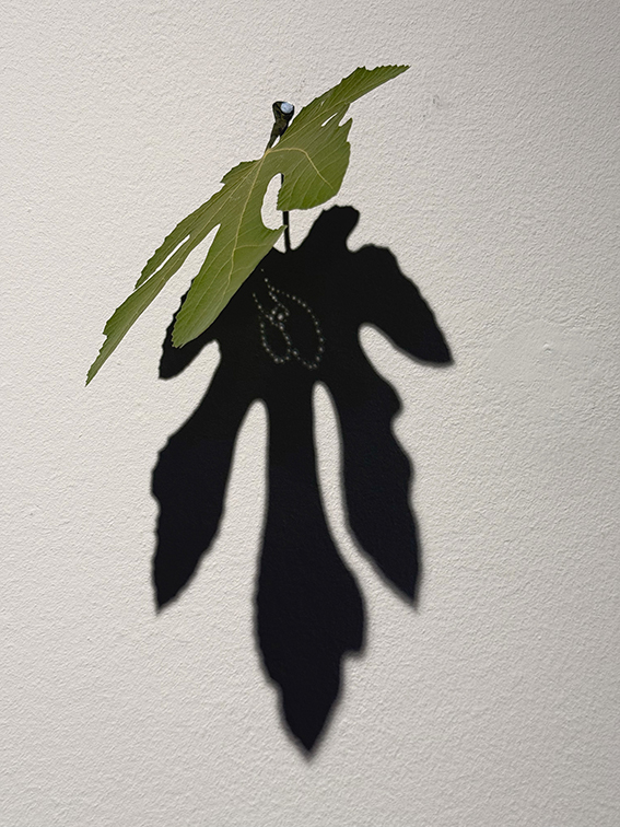 Agatha Zobrist, «Schattendasein», gelochte Blätter, 2025 
