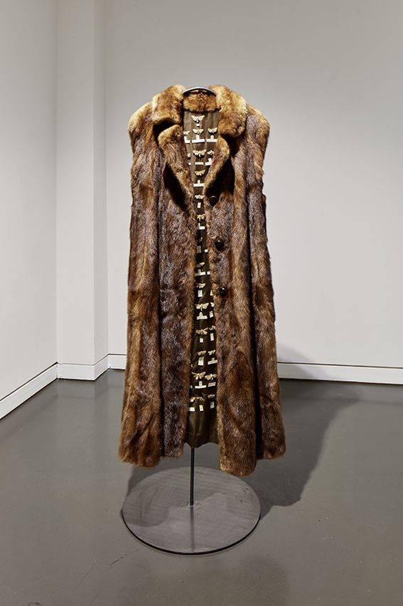 Ausstellungsansicht, Mittelgeschoss im Trudelhaus Baden 
Manuela Morales Dèlano, Moth museum 