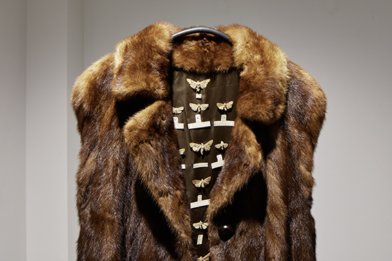 Ausstellungsansicht, Mittelgeschoss im Trudelhaus Baden
Manuela Morales Dèlano, Moth museum Detail