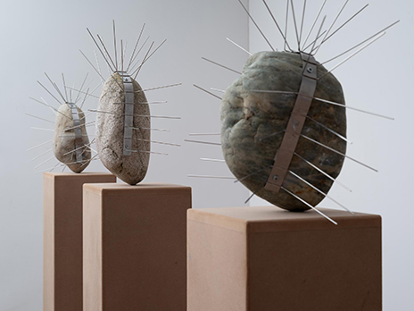 Manuela Morales Délano, Espantapajaros, Serie S, 2025