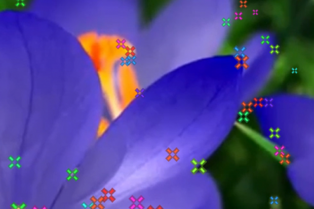 14.0|1 02_myrienbarth-screenshot_prov.png