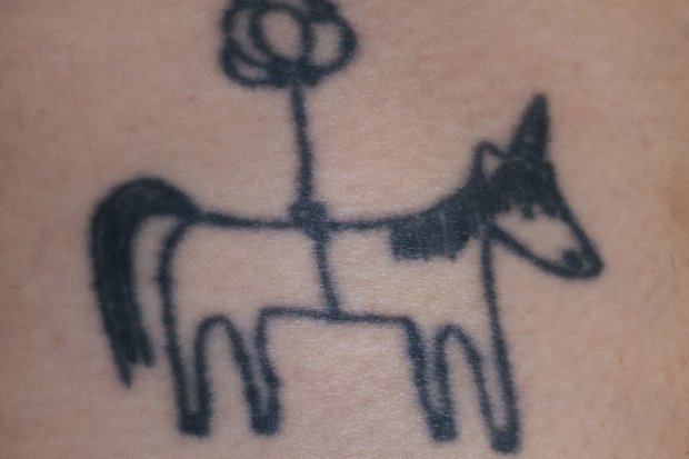 02_pferd_lysann_web.jpg