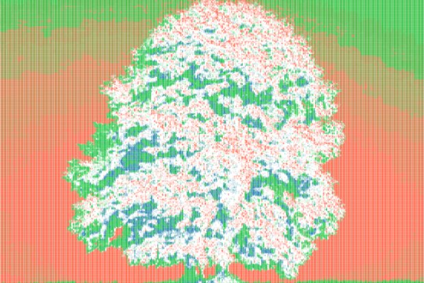 3_technologie-der-zukunft-vanessabilly-brodieellis-paulschatz_baum_4.jpg
