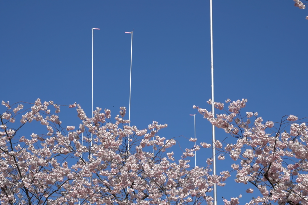 and_also_the_trees_2021_videostill1.png