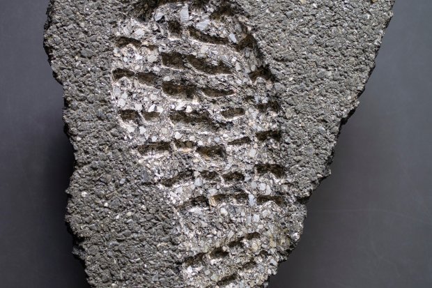 arun_das_traces_1_2019.jpg