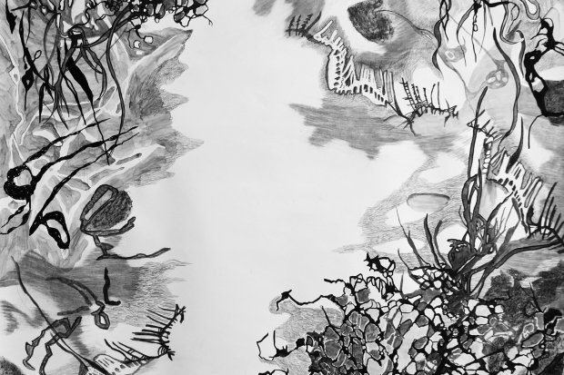 plankton_2020_210_x_150cm_bleistift_farbstift_und_tusche_auf_papier.jpg
