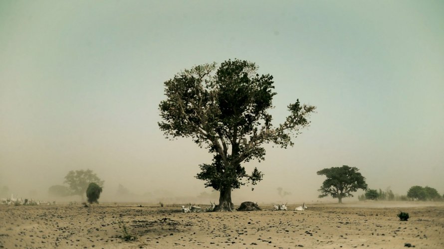 00_treesetc_loop.00_00_25_03.still001_2_web.jpg