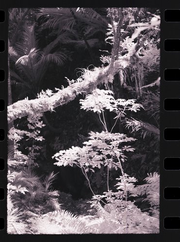 02_04a_jonasstuder.jpg