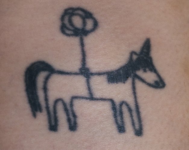 02_pferd_lysann_web.jpg