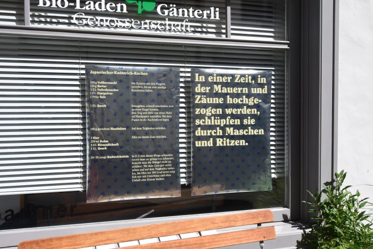 09_03a_sidler.jpg