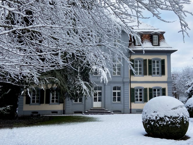 10_weihnachtsbaum_img_8679_web.jpg