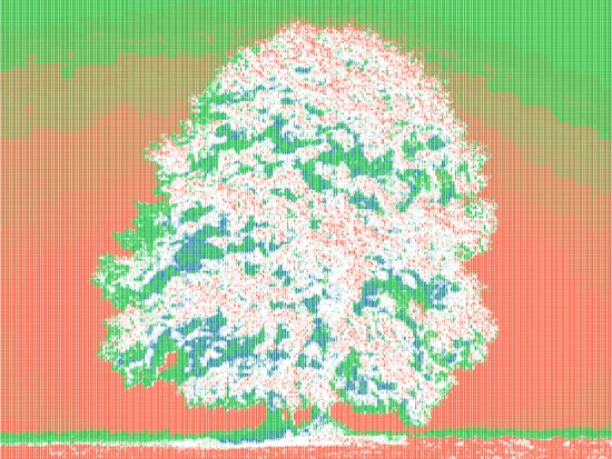 3_technologie-der-zukunft-vanessabilly-brodieellis-paulschatz_baum_1.jpg