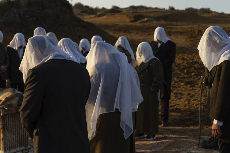 a_dogs_funeral_c_yara_kassem_mahajena_low.jpg