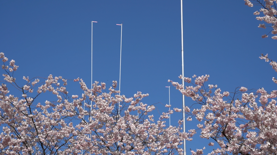 and_also_the_trees_2021_videostill1.png