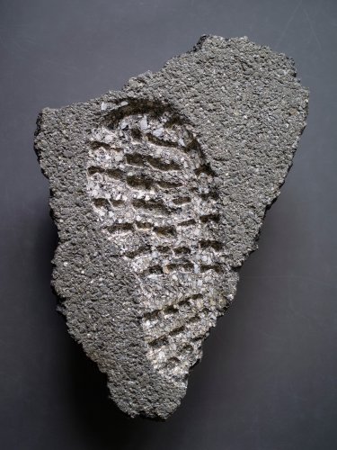 arun_das_traces_1_2019.jpg