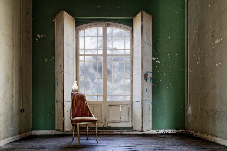 eva_borner_fenster1sitzendetaube_60x40_300.jpg