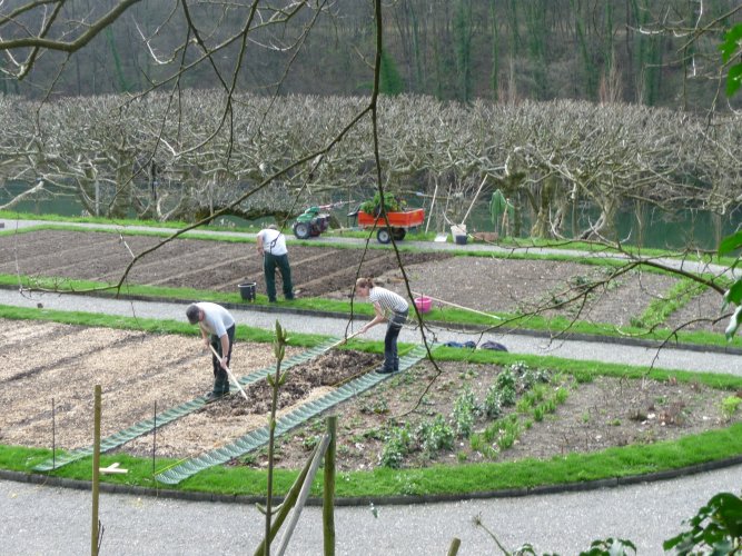 garten.jpg