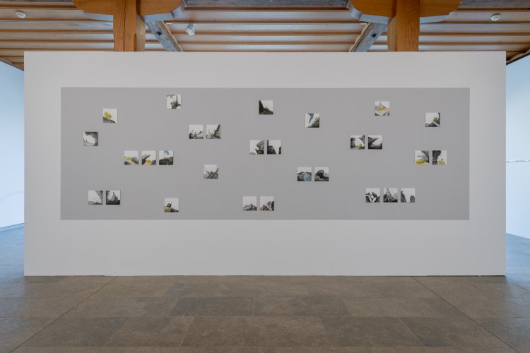 horizonte_kunsthauszofingen2021_ausstellungsdokumentation_web-13.jpg
