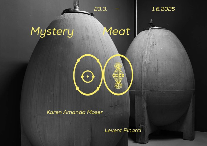 misterymeat_web.jpg