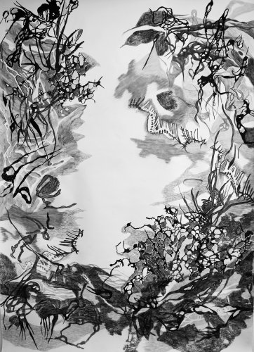 plankton_2020_210_x_150cm_bleistift_farbstift_und_tusche_auf_papier.jpg