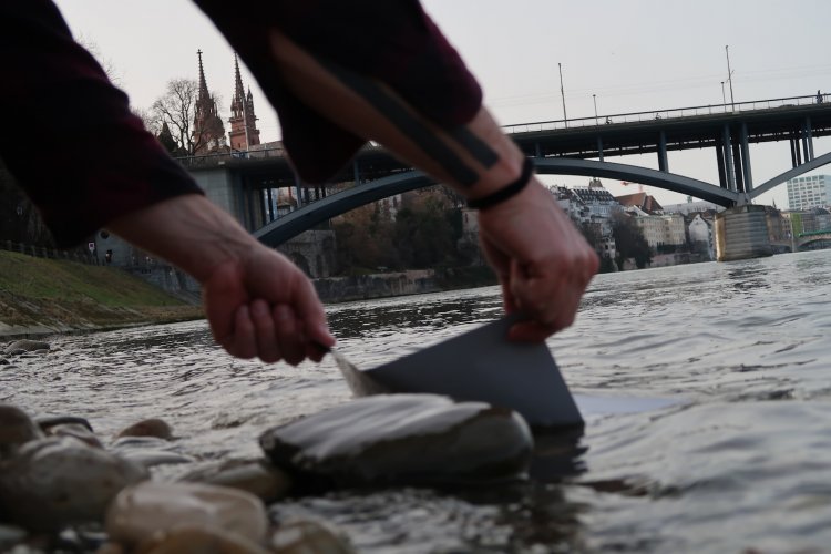 rhein.jpg