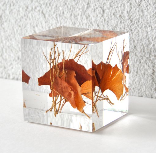 susi_kramer_gingkocube_2016.jpg